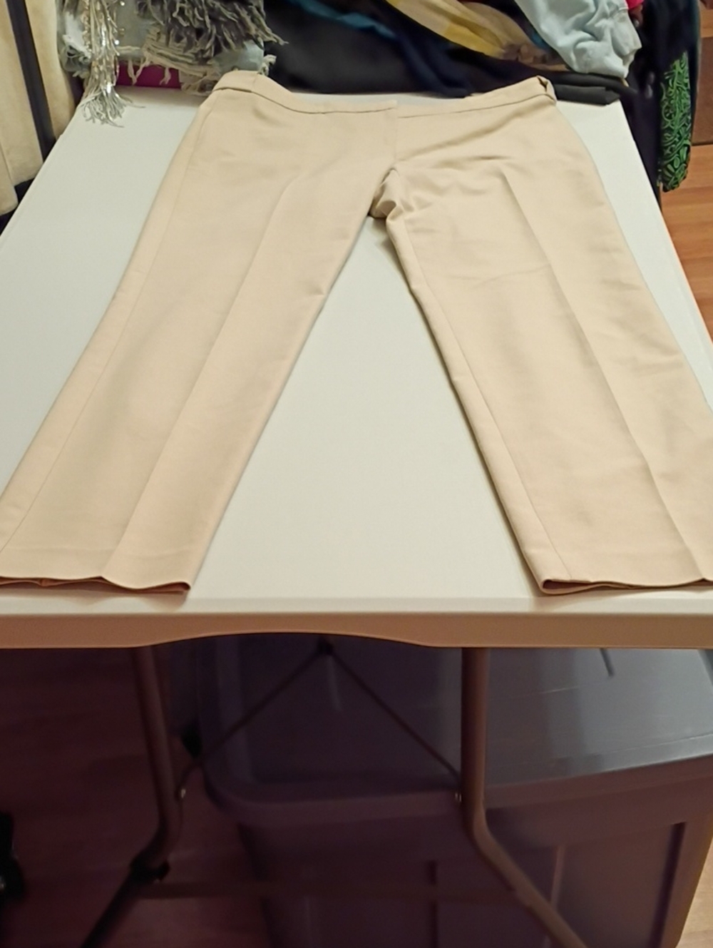 Ann Taylor Light Beige Straight-Leg Trousers